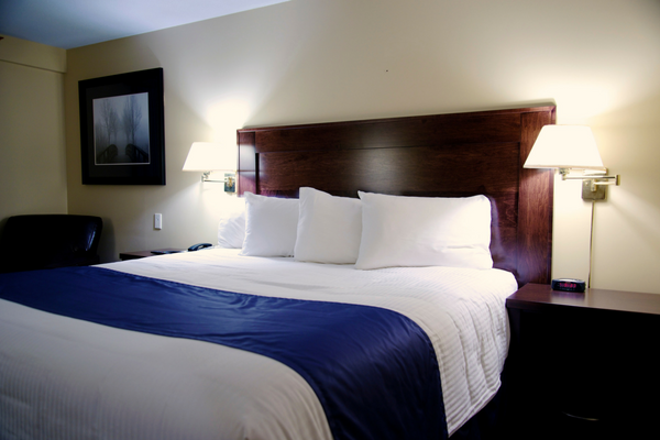 Room-215-600x400